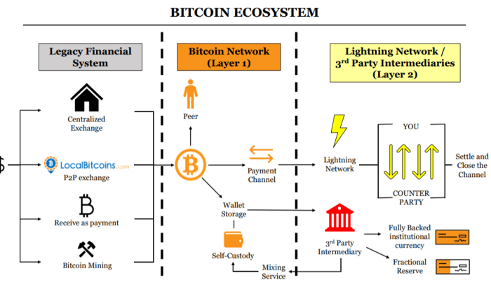 bitcoin ecosystem legacy bitcoin lightning